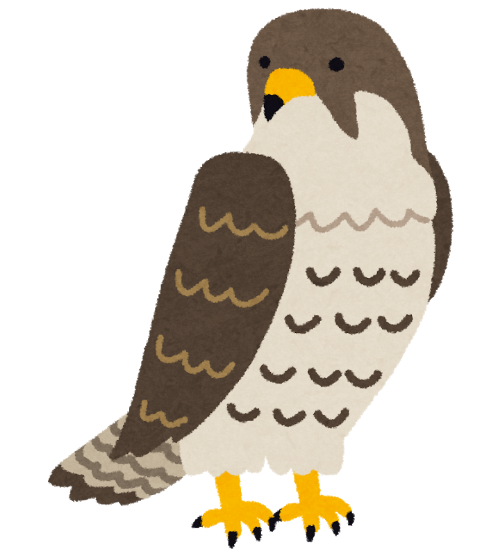 長浜市 湖北野鳥センターにてタカの渡り鳥観察講座が開催されます！8月17日