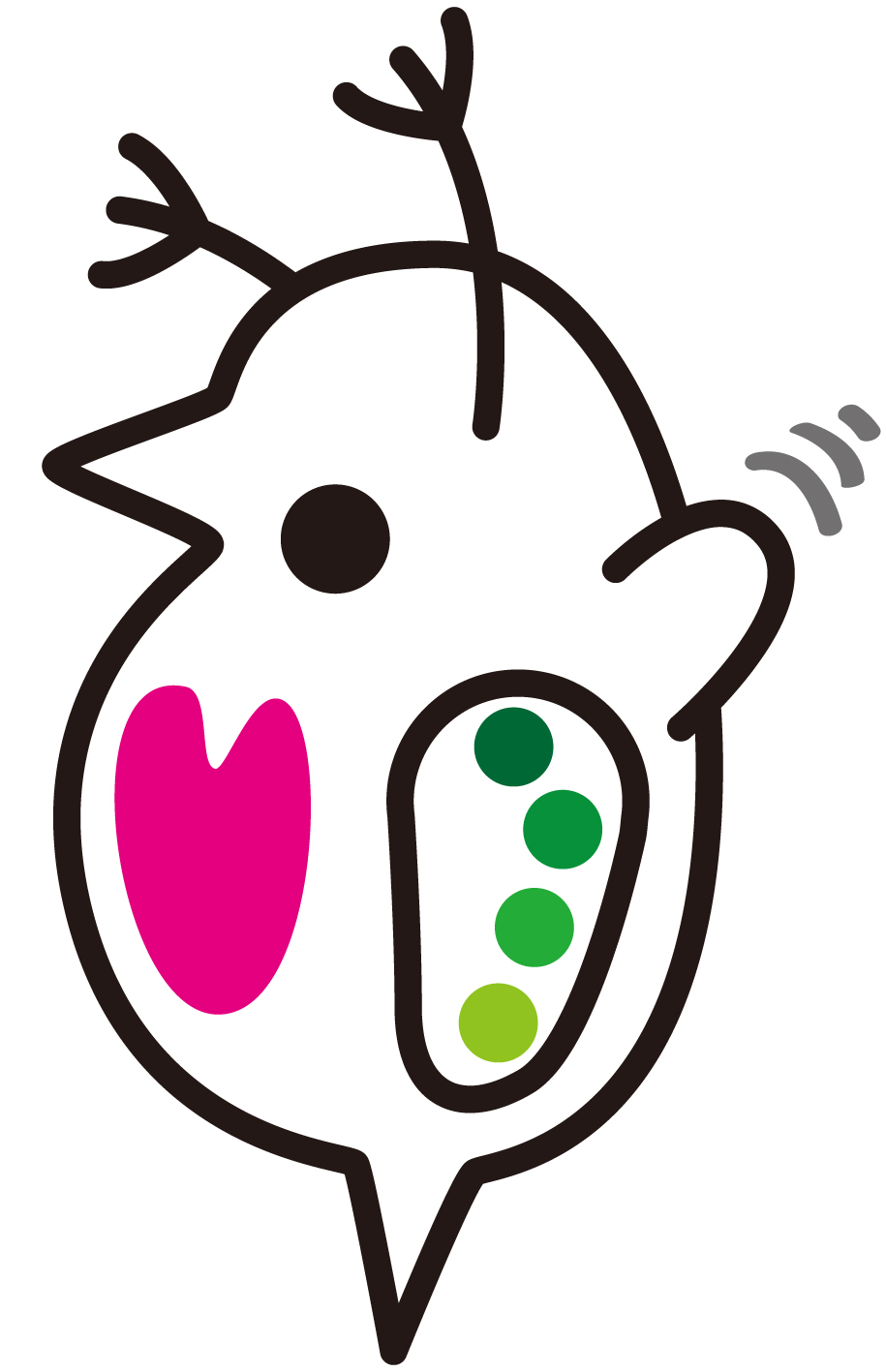[8月18日] 琵琶湖博物館で楽しもう♪ マイナス80度から復活した微小生物