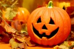 【10/16(日)】草津市民入園無料＆球根やお菓子GET‼【10月のイベント】種苗領布会やハロウィンイベント盛り沢山!【水生植物公園みずの森】