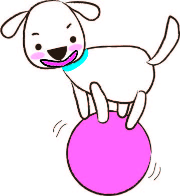 【10月27日】日本で唯一！犬だけのサーカス団がエイスクエアに登場☆「わんわん大サーカス」開催♪