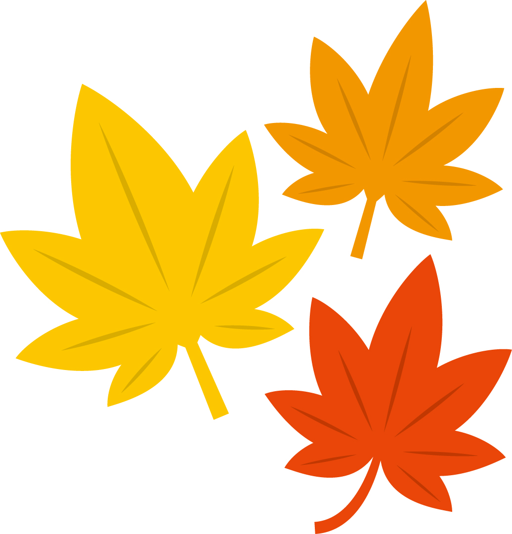 《12月21日・26日》草津市のロクハ公園で「おちばプール特別イベント」が開催！落ち葉のしおり作りやゲームを楽しもう♪