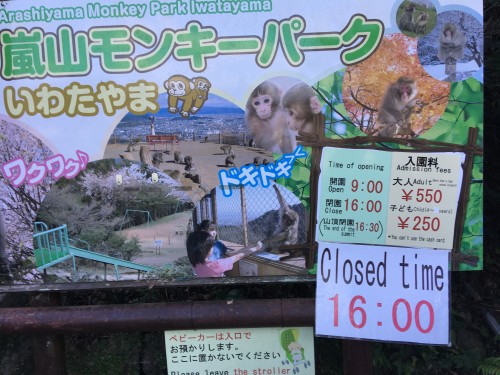 京都市 嵐山モンキーパークいわたやまへ行ってきました 近い距離でお猿さんが見れる 餌やり体験もできました 滋賀のママがイベント 育児 遊び 学びを発信 シガマンマ ピースマム