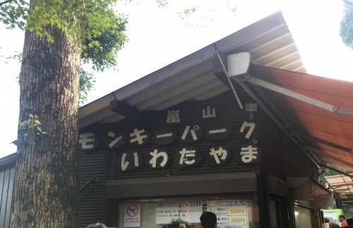 京都市 嵐山モンキーパークいわたやまへ行ってきました 近い距離でお猿さんが見れる 餌やり体験もできました 滋賀のママがイベント 育児 遊び 学びを発信 シガマンマ ピースマム
