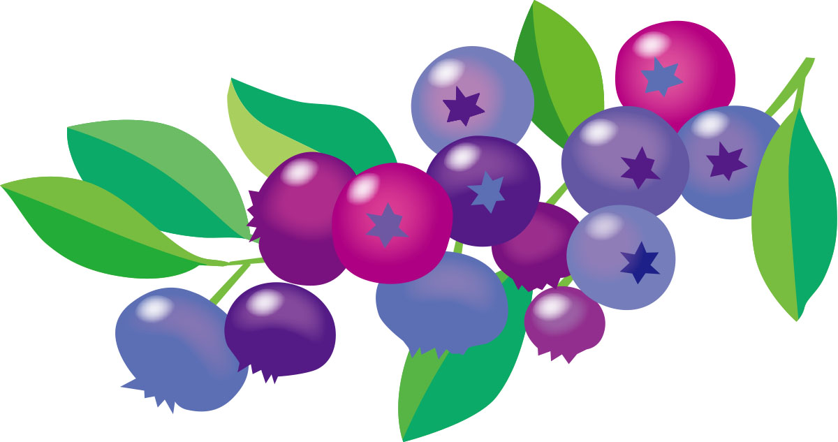 《6月25日〜》甘くて美味しいブルーベリーを収穫しよう♪高島市のマキノピックランドで「ブルーベリー園」が開園！