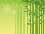 高島市のラシーヌホーム針江に「竹の体験工房」がオープン！7月23日〜25日は「竹と遊ぼう！竹祭り」が開催！