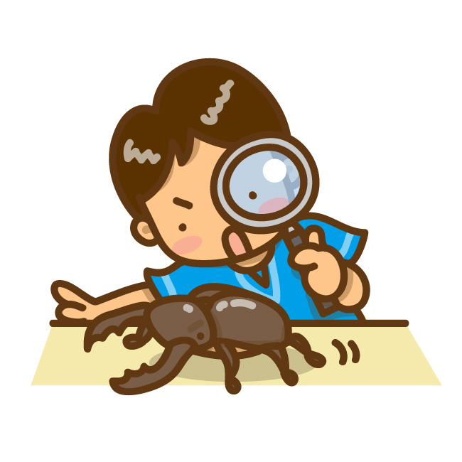 《〜8月31日》クワガタと触れ合える！日野町のブルーメの丘では「カブトムシ・クワガタ観察展」が開催中！昆虫食も販売！