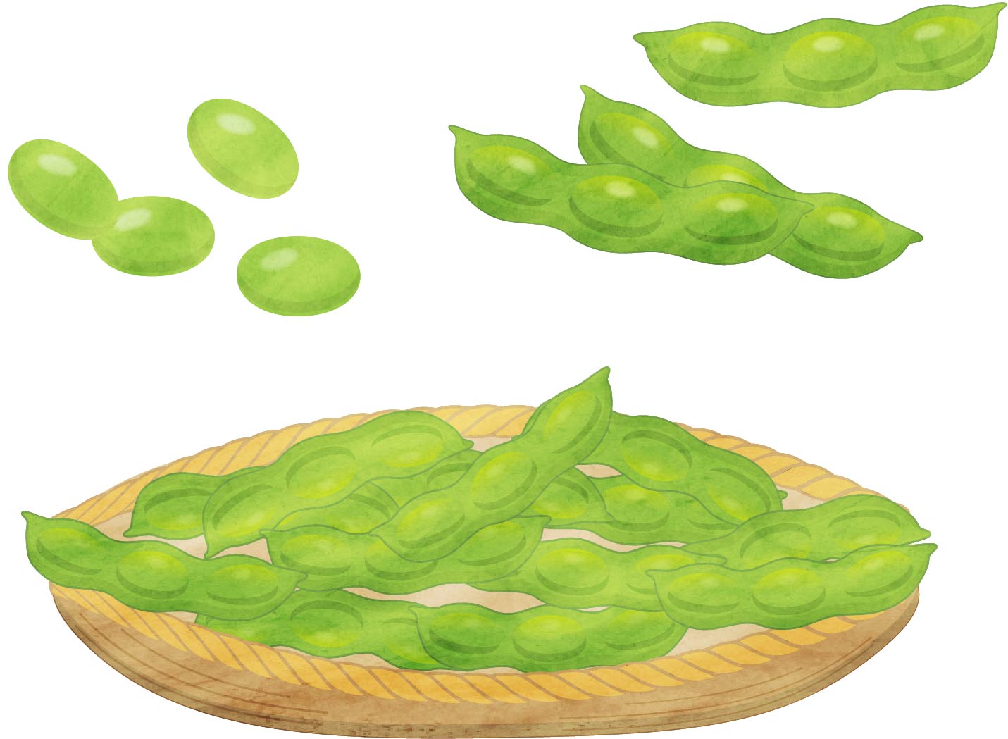 《〜10月下旬頃》食べごろの枝豆を家族で収穫しよう！アグリパーク竜王で『黒枝豆の摘み取り体験』が開園中！
