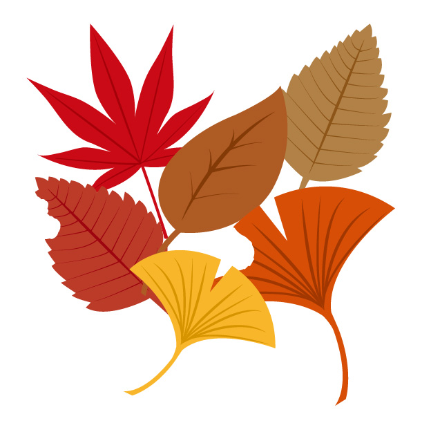 《11月22日》落ち葉にちなんだゲームで秋の公園を楽しもう！草津市のロクハ公園で「おちばの日」が開催！