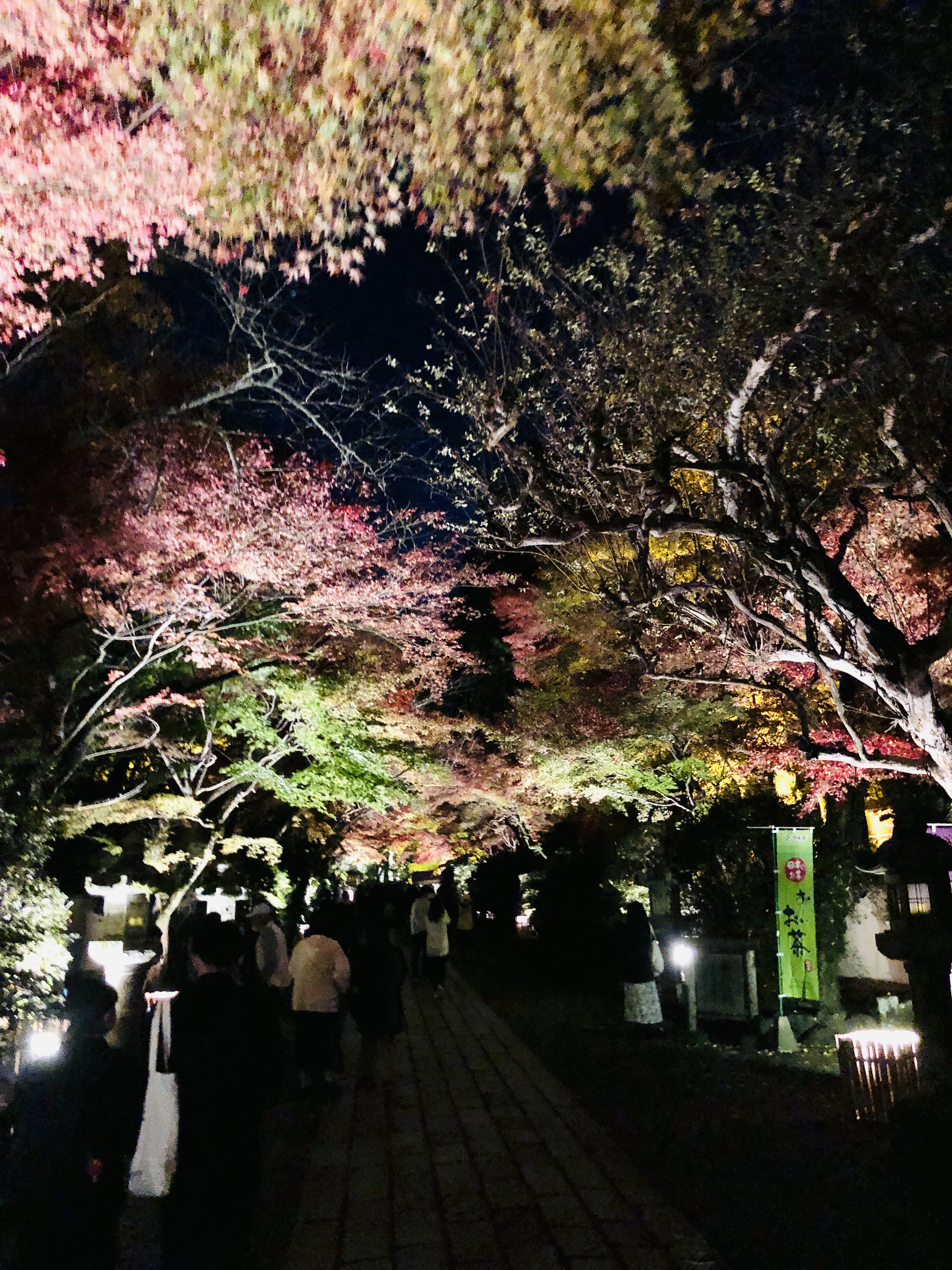 日本夜景遺産登録のパワースポットはやっぱりすごい 石山寺の紅葉ライトアップ あたら夜もみじ を堪能してきた 滋賀のママがイベント 育児 遊び 学びを発信 シガマンマ ピースマム