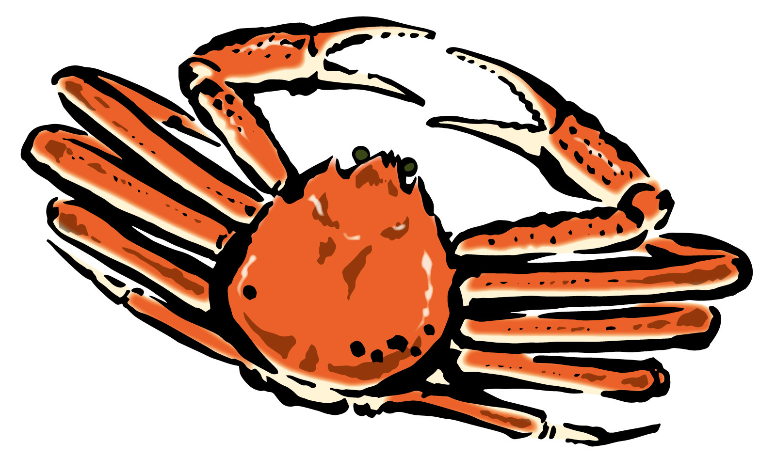 〈11月28日･29日〉中止となった「越前かにまつり」の代替企画『越前がに朝市』でおいしい蟹、海産物をお買物しよう！