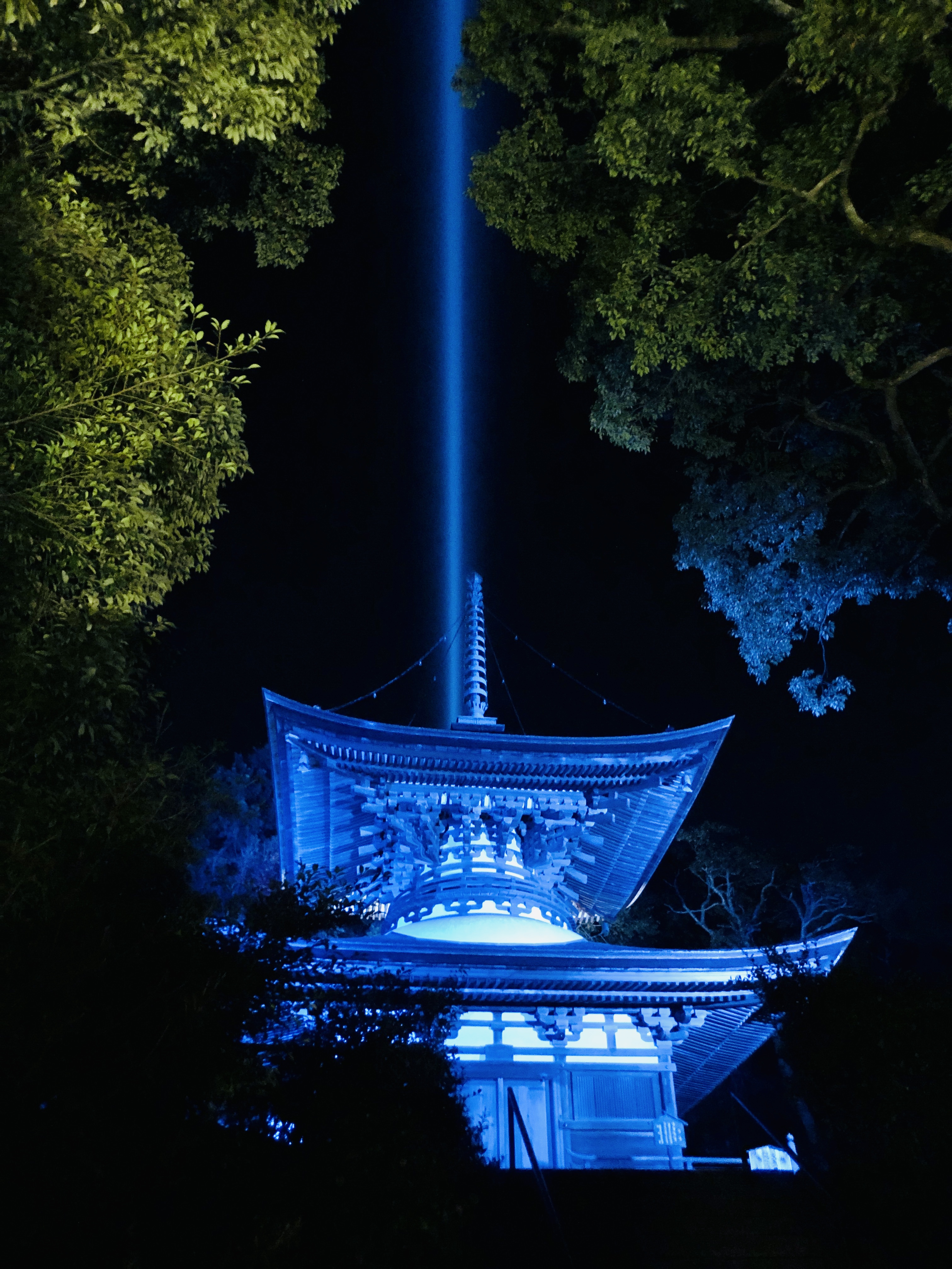 日本夜景遺産登録のパワースポットはやっぱりすごい！石山寺の紅葉ライトアップ「あたら夜もみじ」を堪能してきた♪