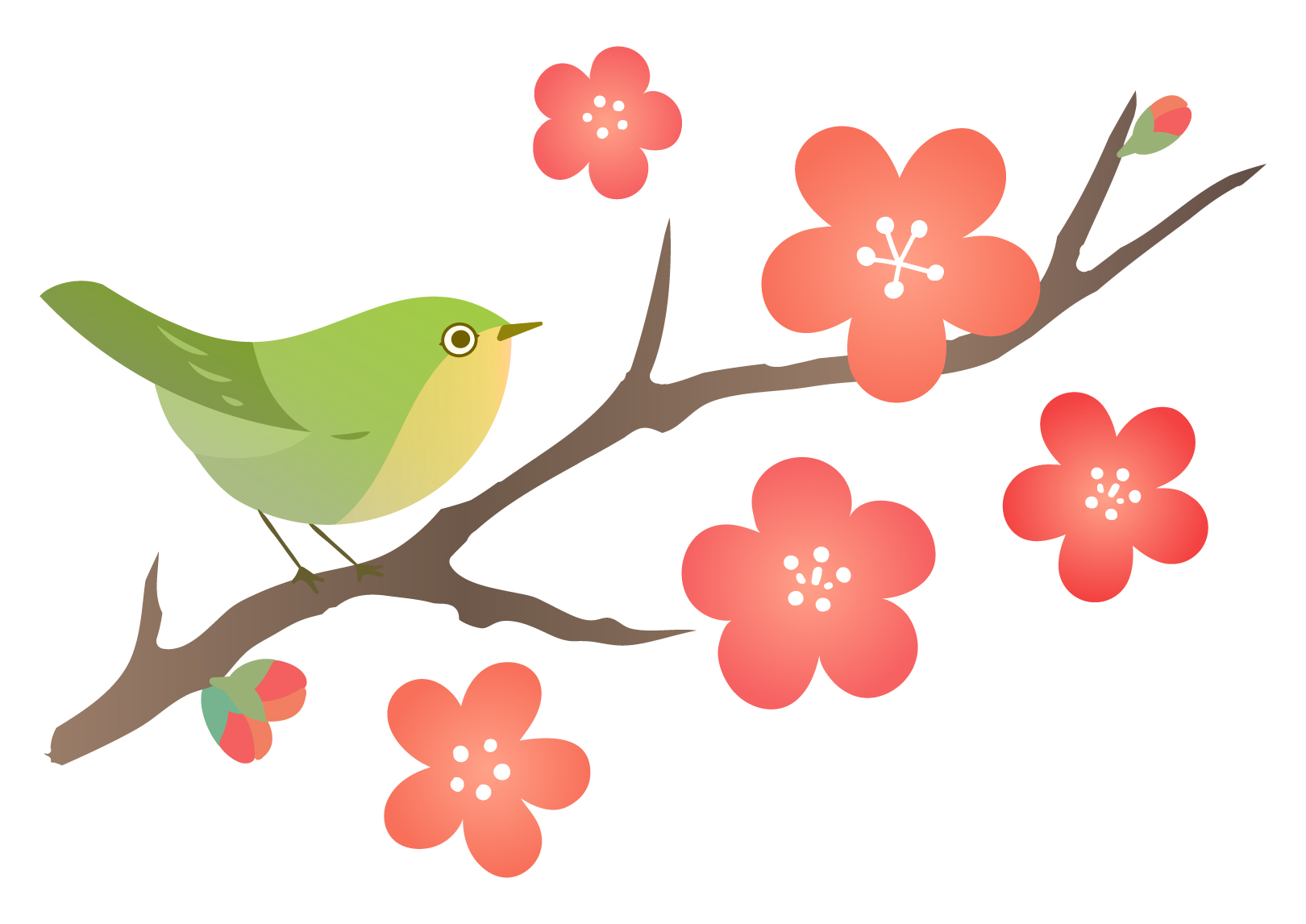 【2月13日】限定15名！能登川博物館主催「水鳥観察会」予約受付スタート！子どもと一緒に水鳥を観察しませんか。