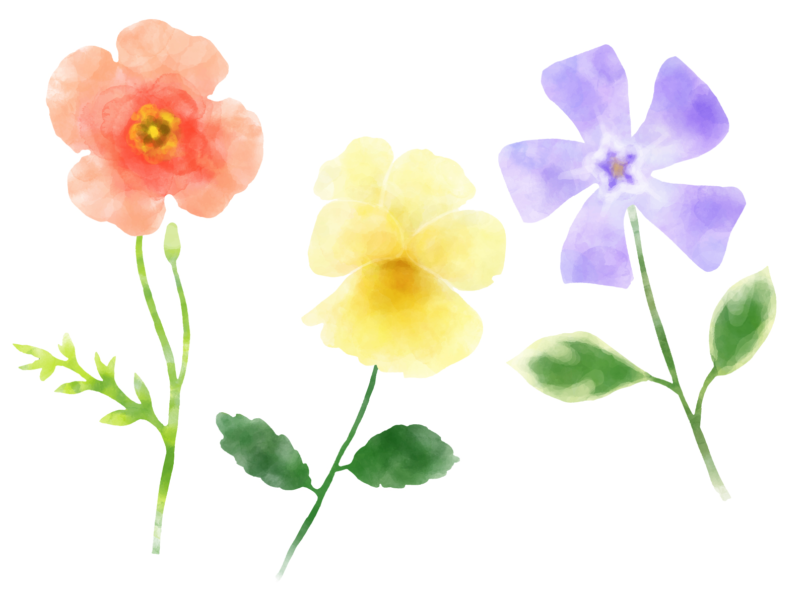 《4月4日》春らしく楽しいワークショップに参加しよう♪びわ湖大津館で「押し花しおり作り」が開催☆