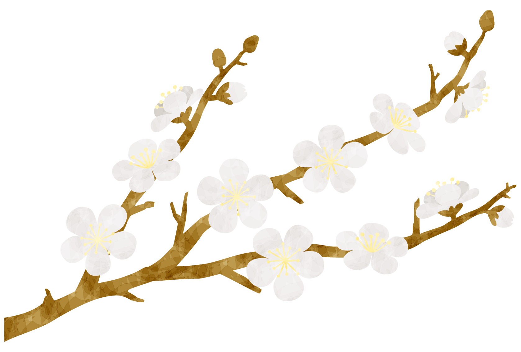 ＜2月27日~3月21日＞「寿長生の郷」にて今年も『花の宴 梅まつり2021』が開催！限定和菓子やイベントが楽しい♪