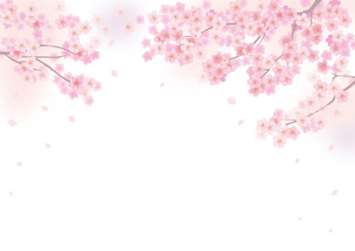 【4/4】大津市の天孫神社で桜祭りコンサートが開催されます♪桜と音楽を楽しもう！ミニバザーもあるよ。