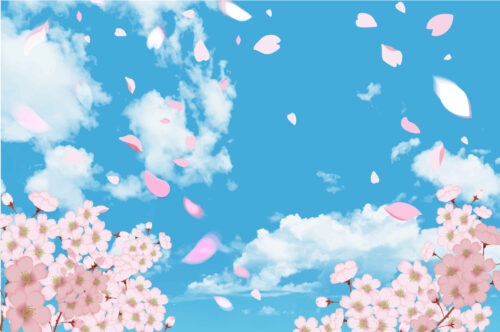 【4月20日まで】桜花見船が毎日運行中です！海津大崎の見事な桜を見に行きませんか?お得な「滋賀県民割プラン」もあります♪