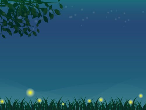＜8月7日＞人気の『夜の昆虫観察会』が8月も開催！小学生以上対象（保護者同伴）【野洲市】