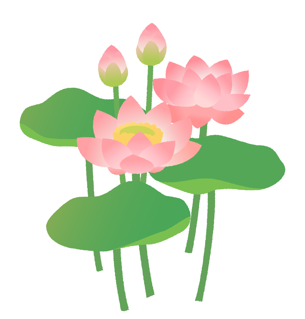 《6月20日》草津市の水生植物公園みずの森で「みなづきフェスタ」が開催！クイズラリーやワークショップを楽しもう！草津市民入園無料☆