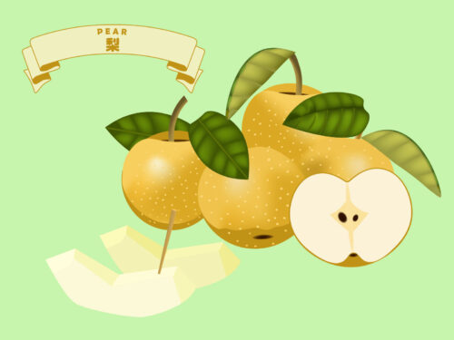 梨の直売所がオープンしています！8月21日から梨狩りもスタート♪☆琵琶湖もりやまフルーツランド☆
