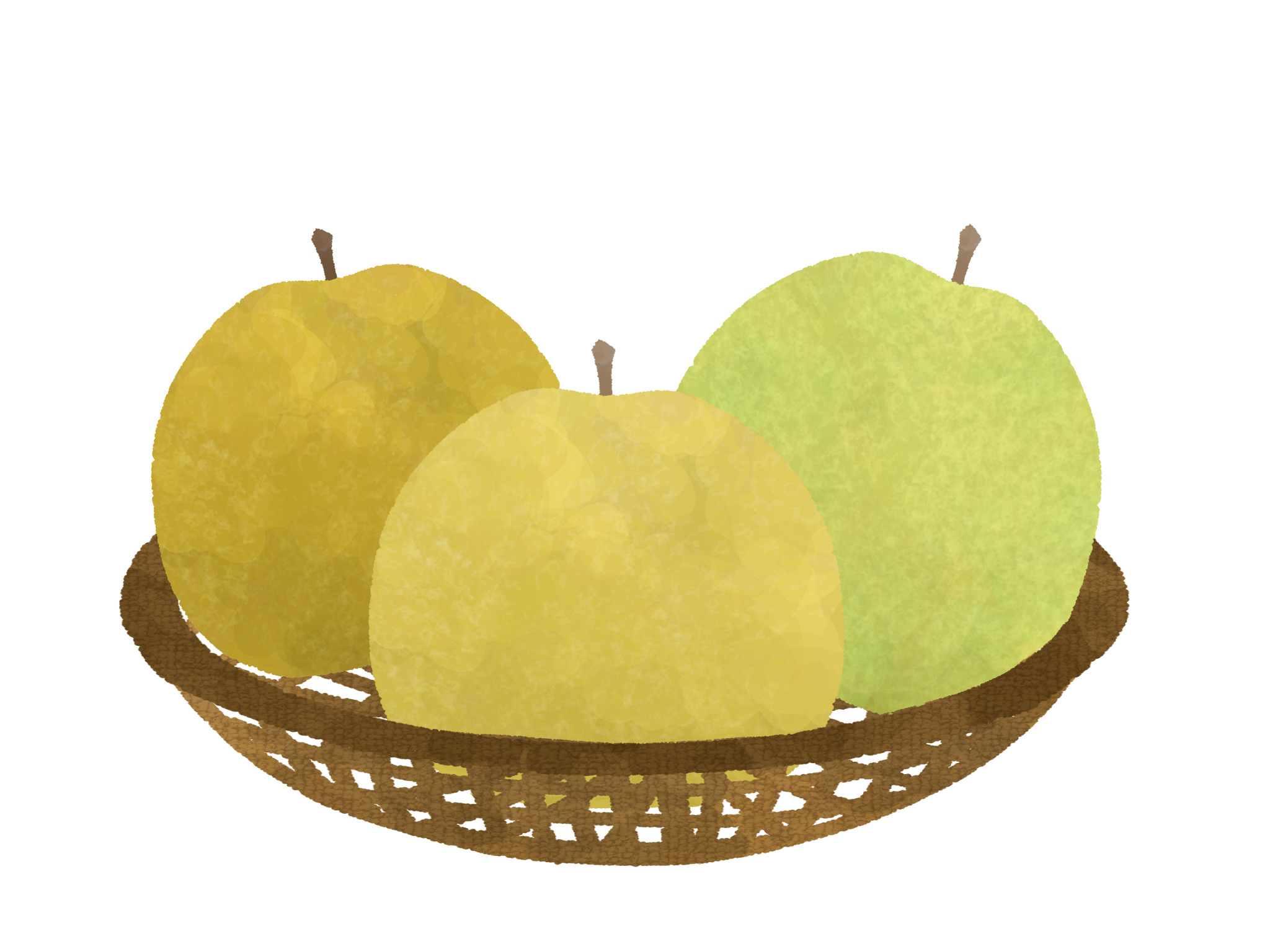 【守山市】北川農園　秋の味覚「なし」の販売スタート！こだわりを持って栽培された梨を味わおう！
