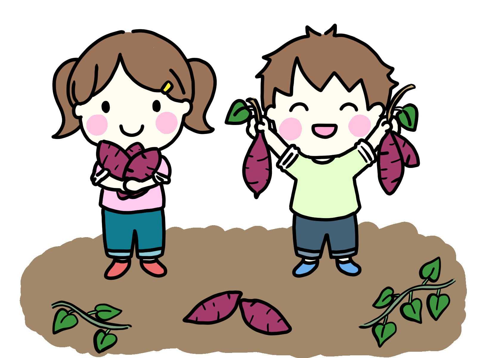 ＜5月21日･10月22日＞1家族500円でできる苗植え～収穫体験！5月にサツマイモの苗を植えて、10月に収穫しよう！大津市内在住対象