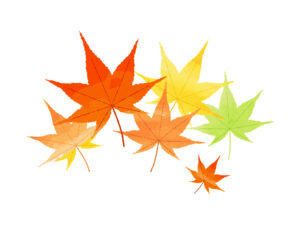 《11月21日》もらって嬉しい商品が当たるかも♪フェリエ南草津で「秋の紅葉抽選会」が開催！