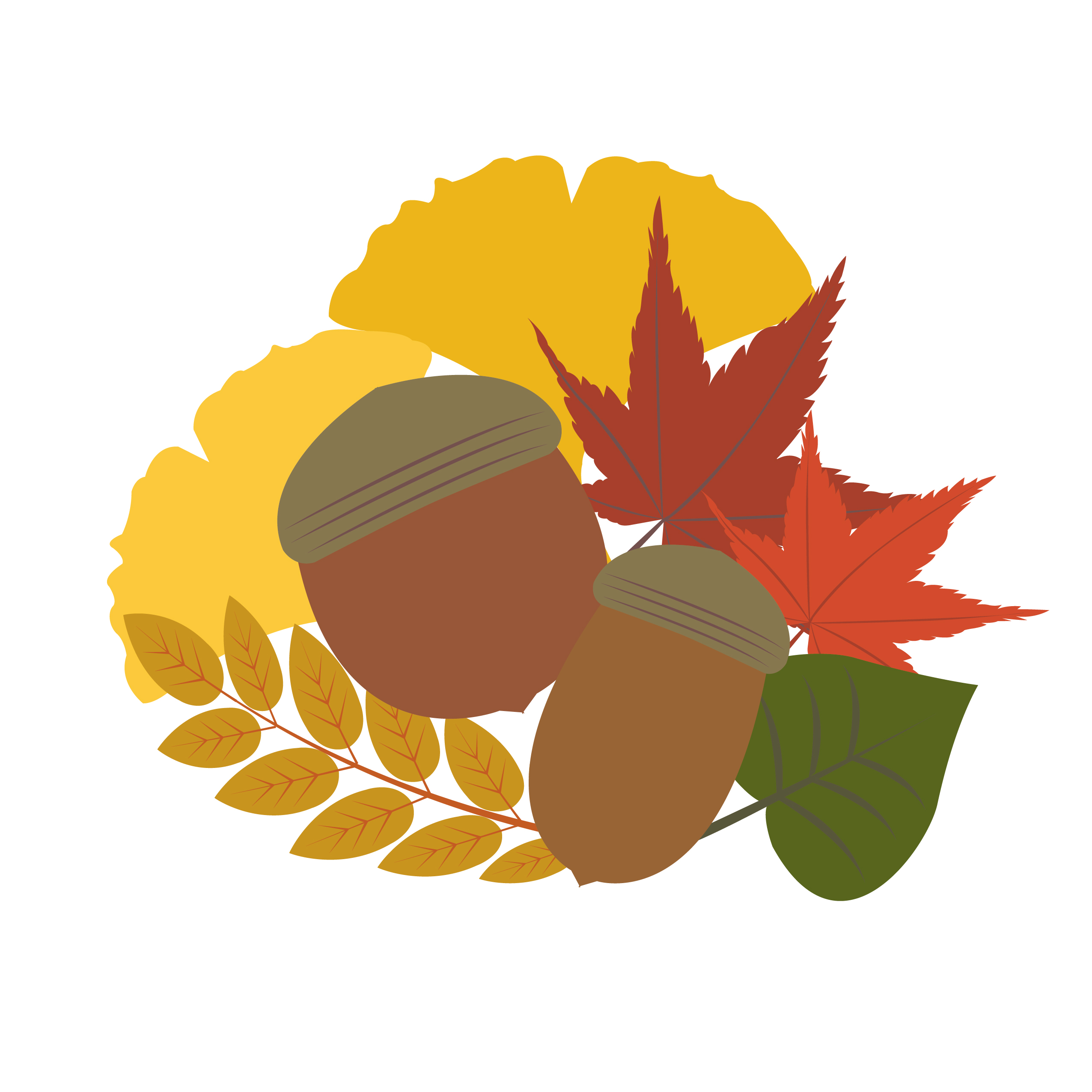 《10月30日》いろんな秋を家族で見つけよう♪高島市の滋賀県立びわ湖こどもの国で『どんぐりビンゴ』が開催！