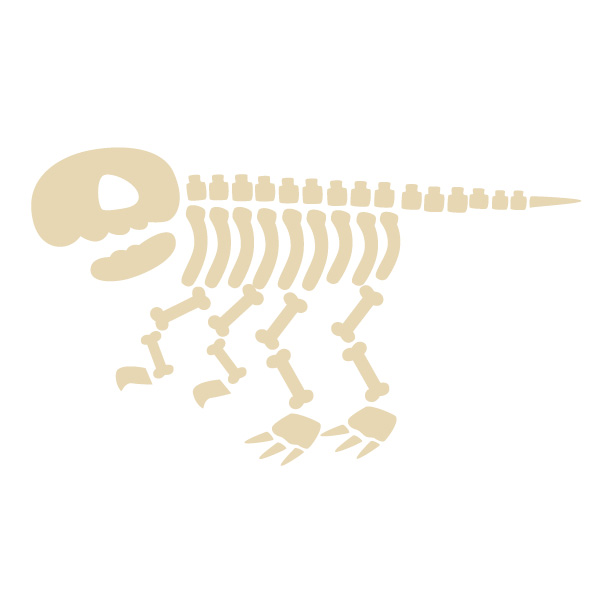 《11月23日》楽しいワークショップ☆フォレオ大津一里山で「恐竜の骨格3D パズルを作ろう」が開催！