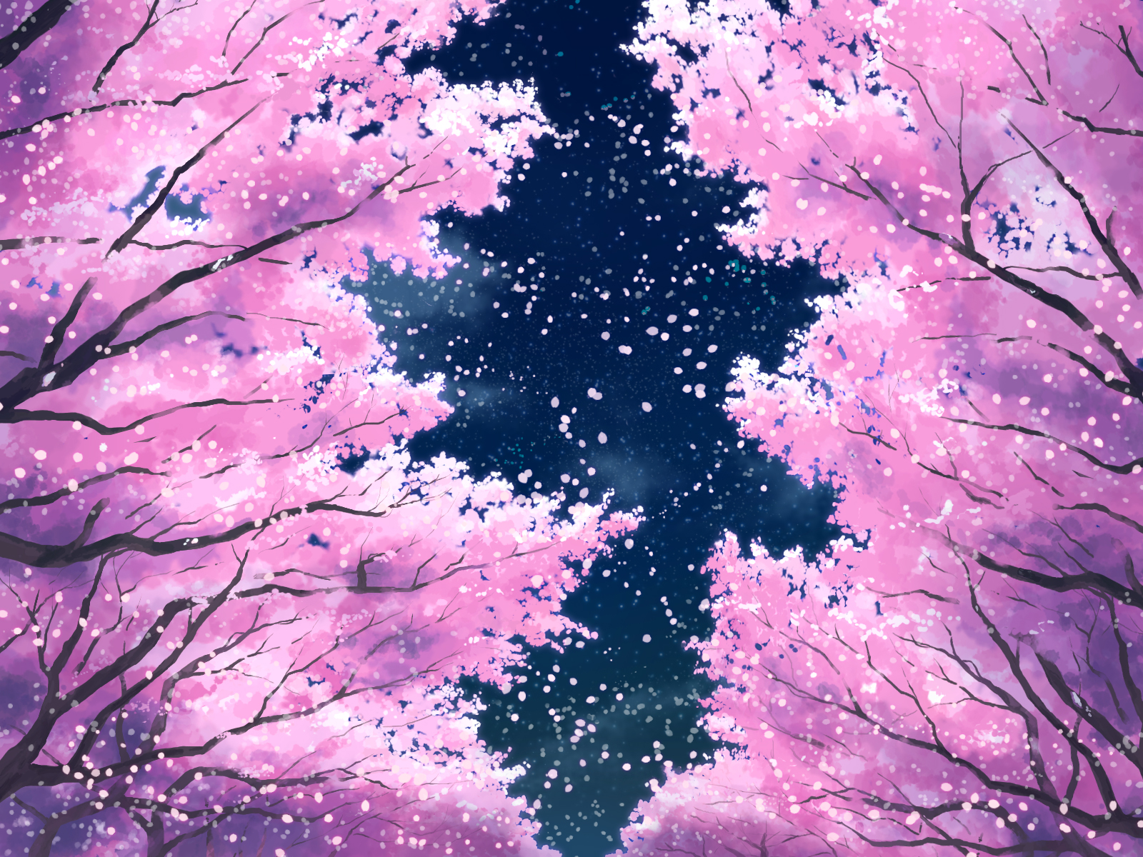 ＜3/25~4/10＞ライトアップされた幻想的な桜並木を無料で見られる☆琵琶湖疎水「春のライトアップ」が開催【大津市】