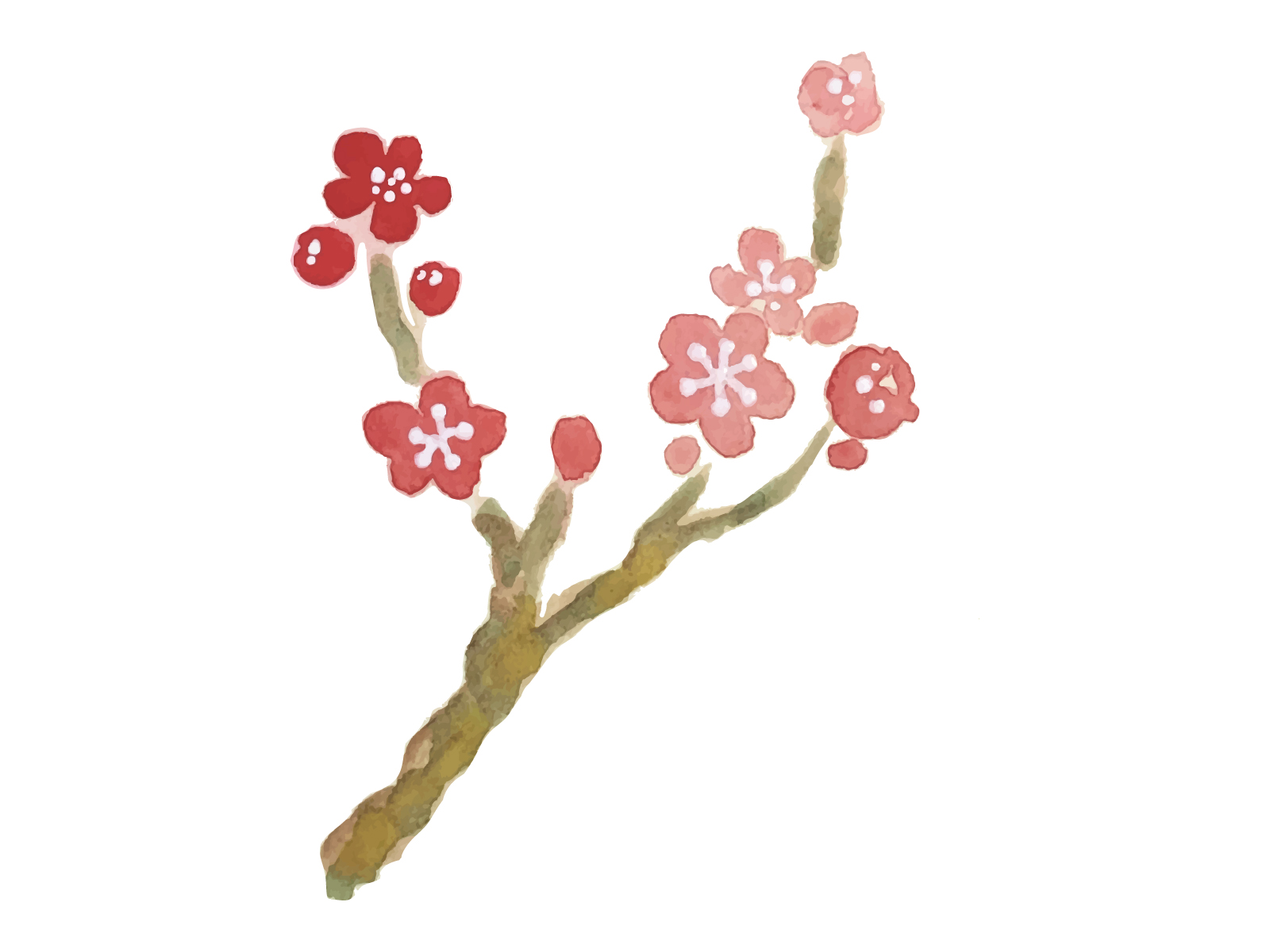 ＜2/18~3/18＞境内に咲き誇る約400本の梅で春の息吹を感じよう『石山寺 梅つくし』期間限定！梅にちなんだ料理＆スイーツも登場！