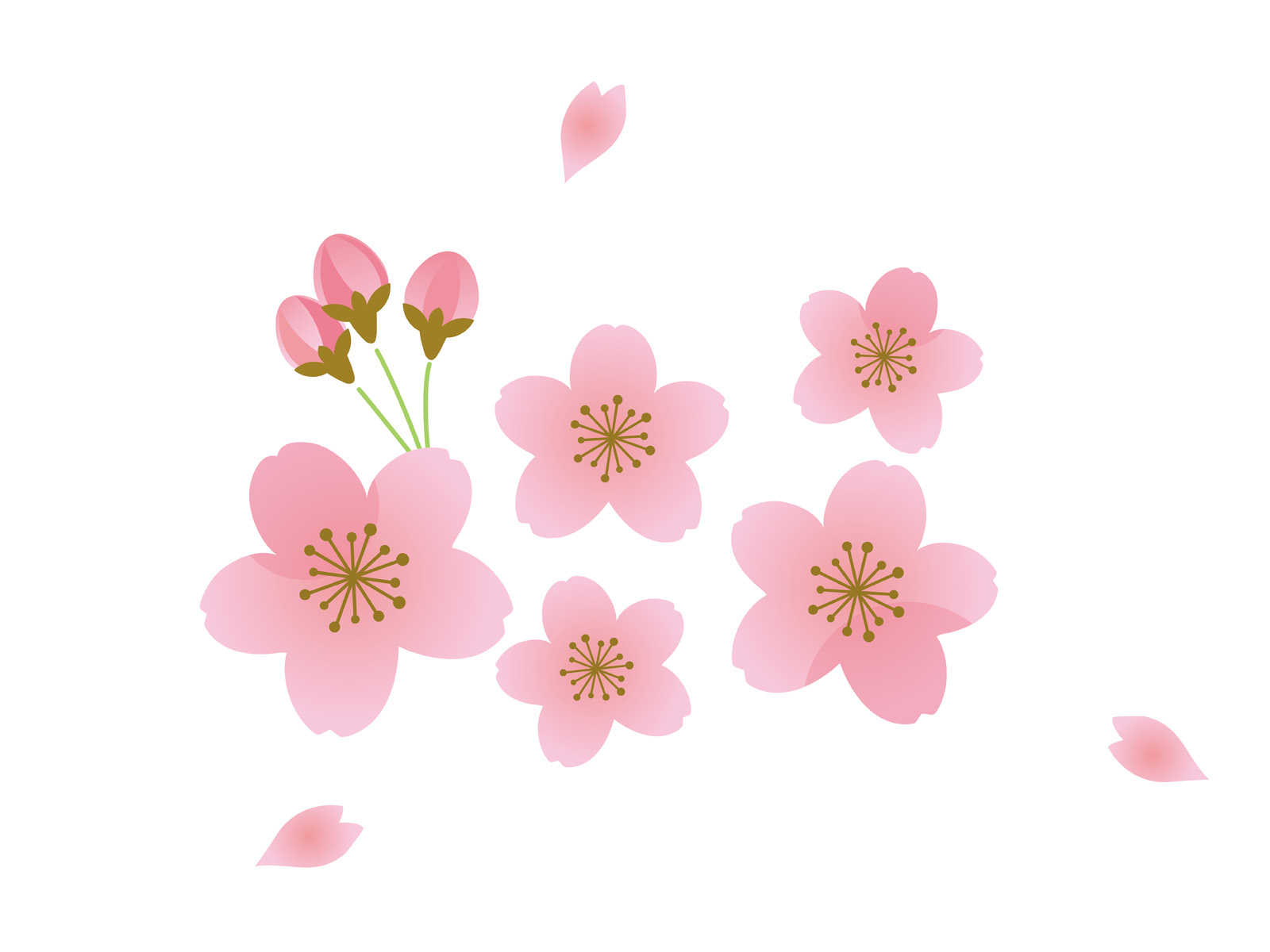 【4月2日・3日】京都市動物園で「春の夜間開園」が開催♪桜がライトアップ☆普段は見れない夜の動物園をみてみよう！