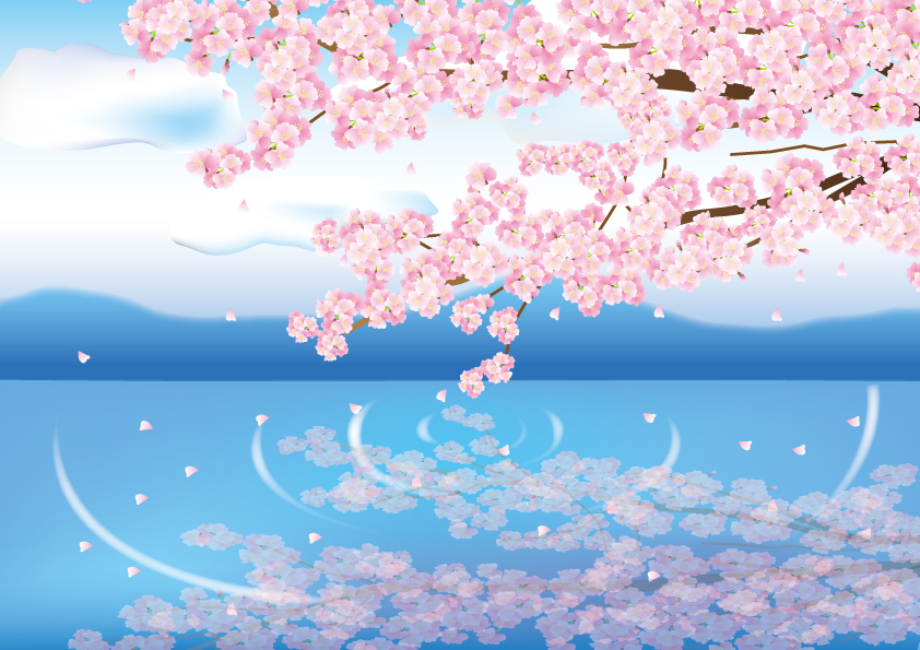 ＜4月5日~＞セットプランがお得！海津大崎の桜『お花見クルーズ＆ランチセット』ランチバイキングも選べる♪