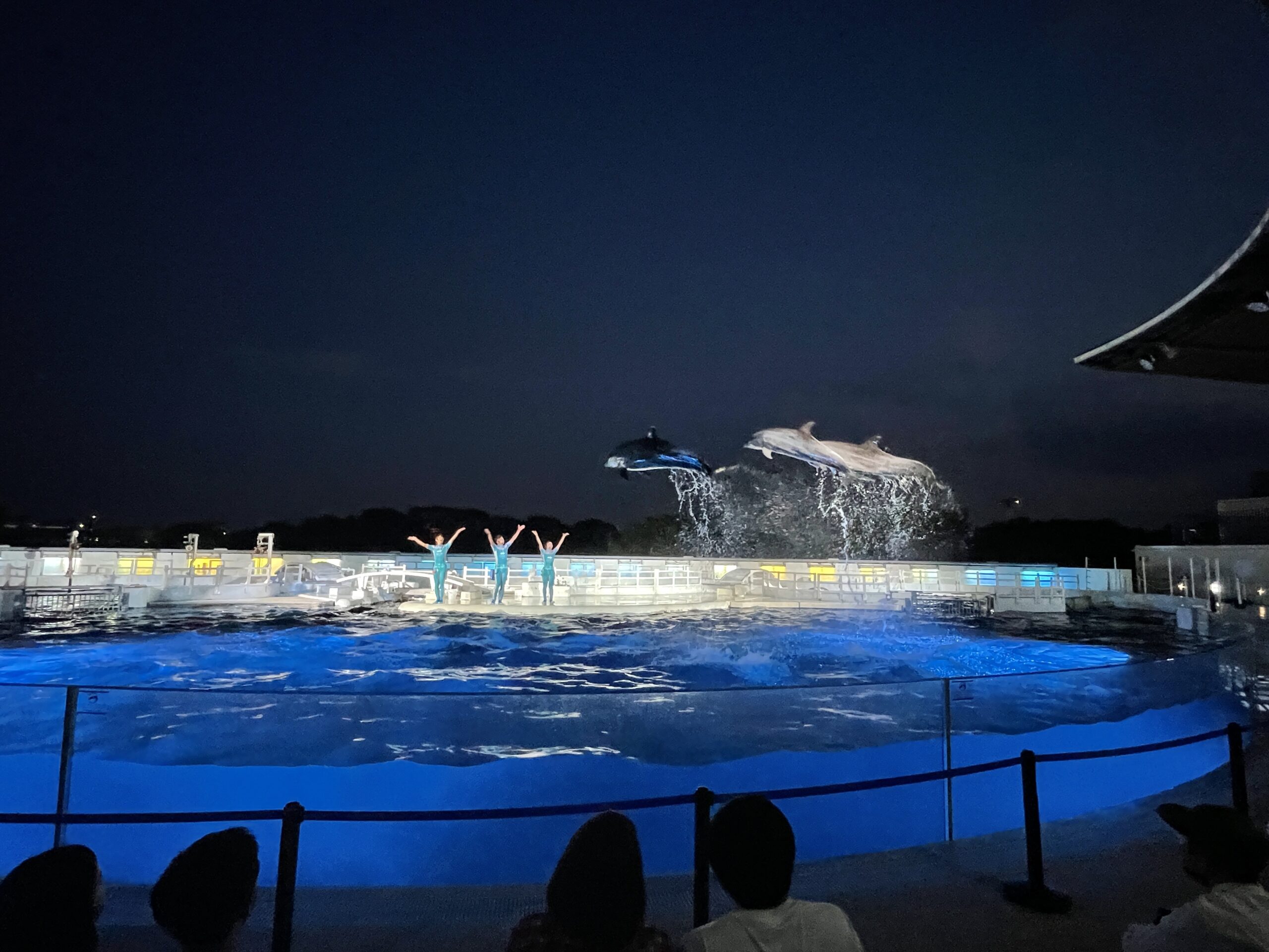 夜ならではのいきものの姿を見に行こう♪特別プログラムのイルカショーも！京都水族館で「夜のすいぞくかん」が開催☆【4月〜11月までの土日祝と夏休み】