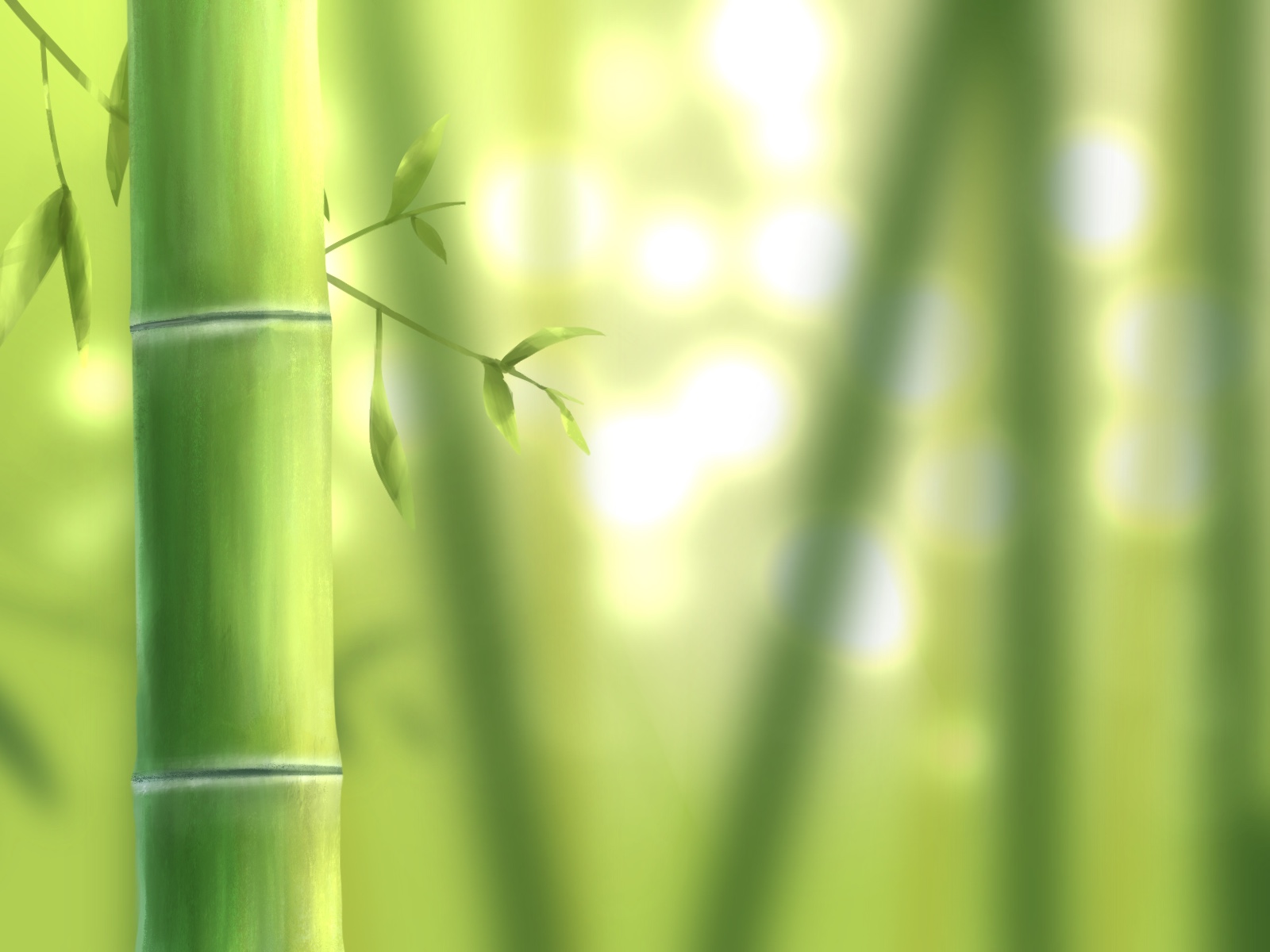 川遊び・魚つかみ・草木染！五感を使ったワクワク体験「新竹取物語～春の祭典～」開催☆春の味覚と自然を遊び尽くそう