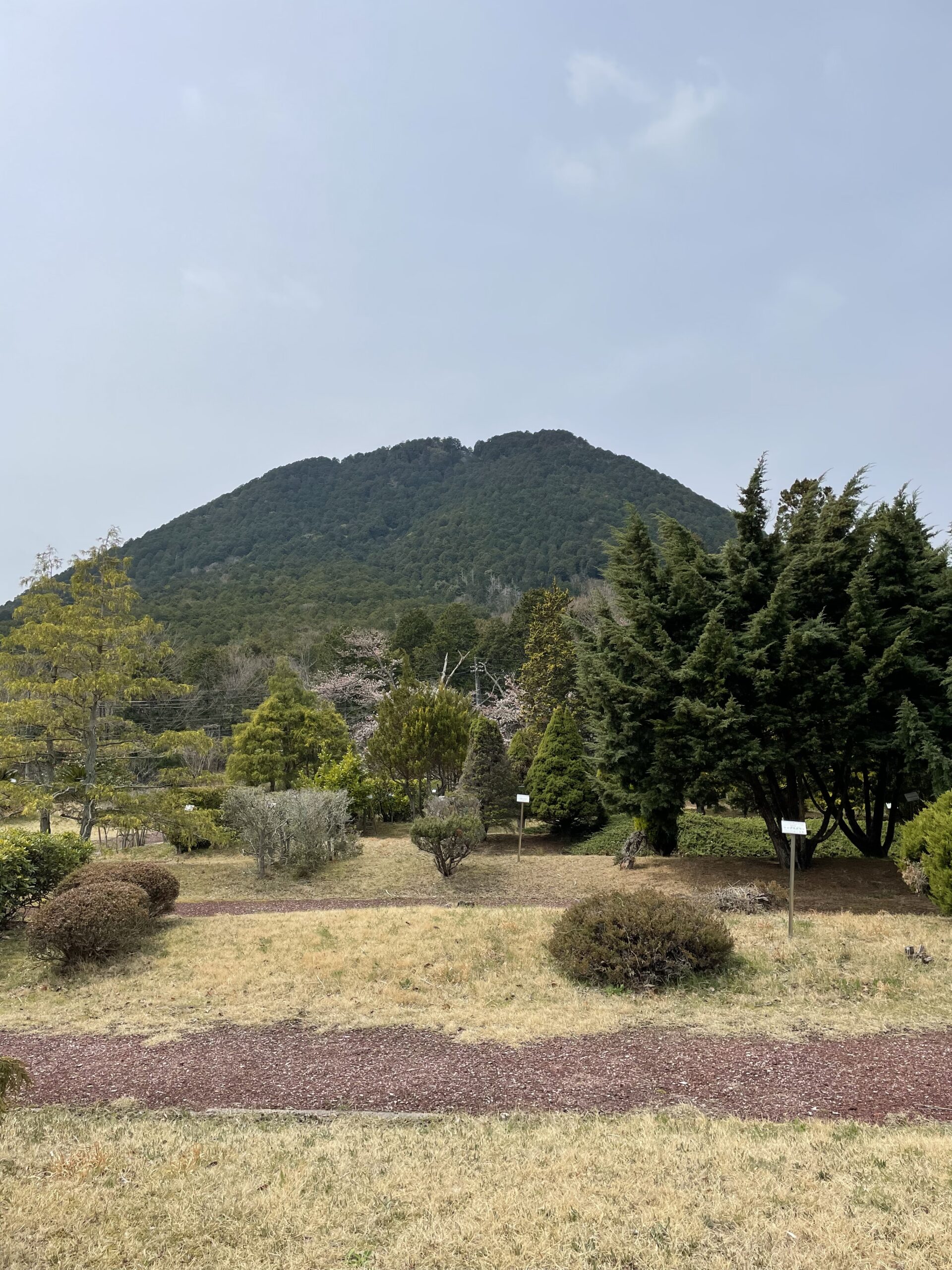 【入場無料】自然いっぱいの近江富士花緑公園で「幻想的な世界」を体験しませんか？春の竹灯籠展示会【5/3～5/5】