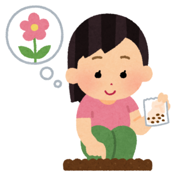 【5/8】草津市ai彩ひろばにて、クレオメの種まきイベントが開催！参加者にはお花の種のプレゼントやクイズ企画などもありますよ♪