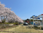 びわ湖こどもの国【4月イベント】追加されました☆「ちびっこたんけんたい」、よもぎ摘みから体験「よもぎ餅を作ろう！」など春を楽しむイベント企画☆