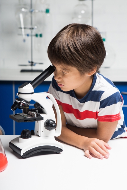 【6月19日】顕微鏡やルーペでミクロの世界を探索しよう♪「子ども教室・不思議なミクロの世界をのぞいてみよう！」が開催。☆彦根市☆