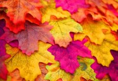 【10月15日】芸術の秋にピッタリなイベントが開催。「アートにふれてみよう」by「ゆめほんDAY」。チョークで地面に落書きしたり、ハロウィンにピッタリな飾りを作ろう♪