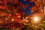 400年前の彦根城を体験！「秋彩の彦根城 夜間特別公開」が実施されます。あの超人気キャラが夜のお散歩する日もあるよ♪【11月19日〜30日】には名勝・玄宮園のライトアップも実施されます。