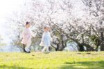 春の草津を満喫できるイベント！キッチンカーもたくさん登場する「くさつ桜まつり」へ出かけよう♪【4月1日・2日/草津川跡地公園de愛ひろば ほか】