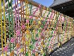 カラフルなかざぐるまが2000個★「サクラと青もみじとかざぐるま 参道 通り抜け」が開催！小学生以下拝観無料期間も！【〜6月11日 / 西教寺(大津市)】