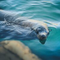 生き物たちのもぐもぐタイムを観にいこう【琵琶湖博物館