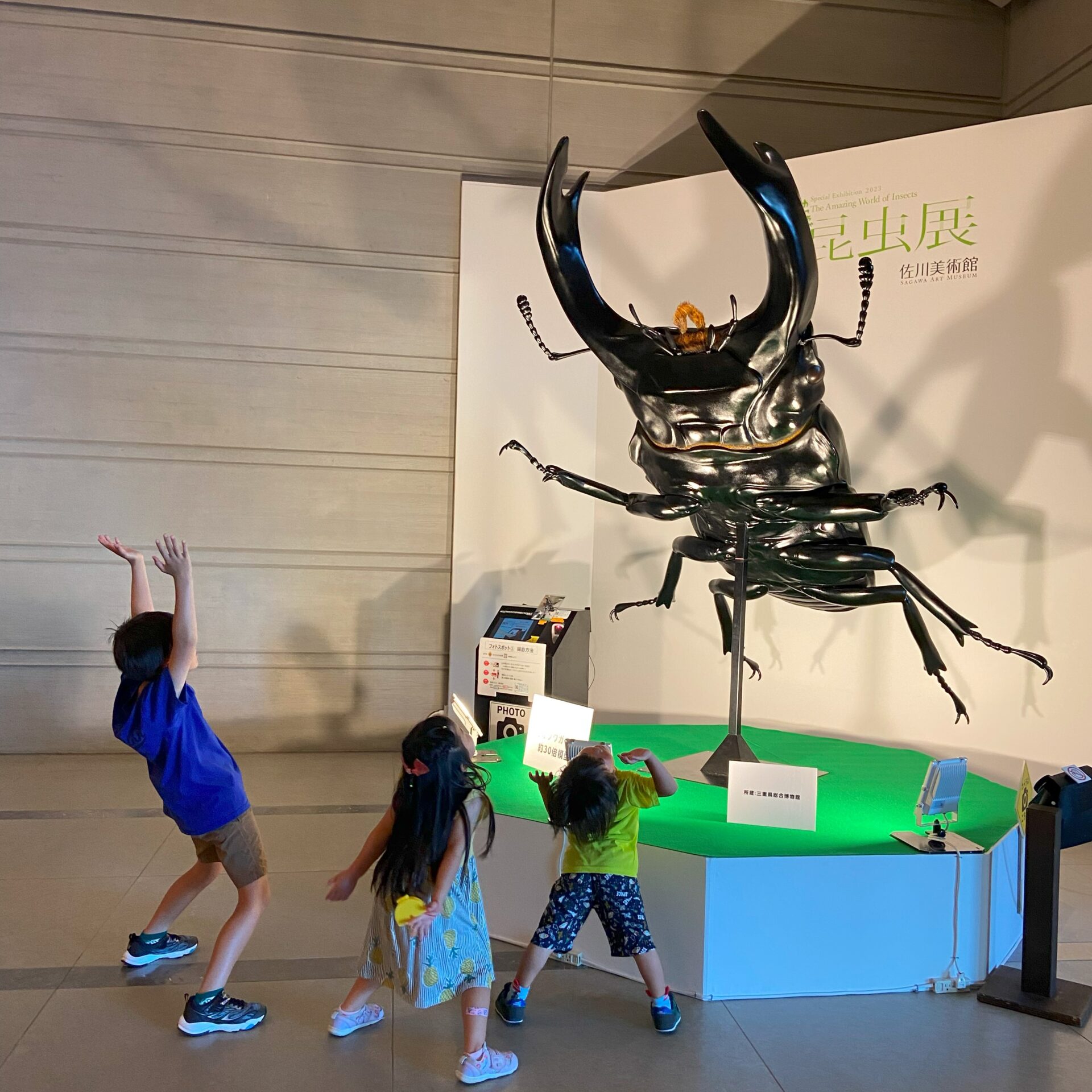 子どもも大人も楽しめる！「めっちゃ！昆虫展」に行ってきました！【佐川美術館】