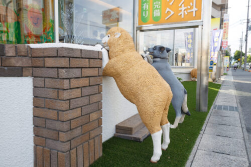 動物がのぞいている