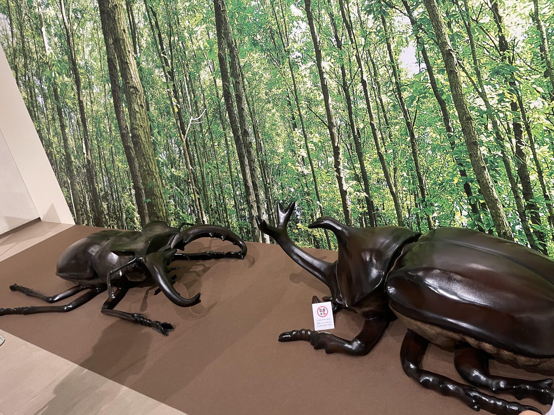 巨大カブトムシにのって写真が撮れる！？【～9月18日★期間限定】体験型スポット行ってきた！【守山市 佐川美術館】