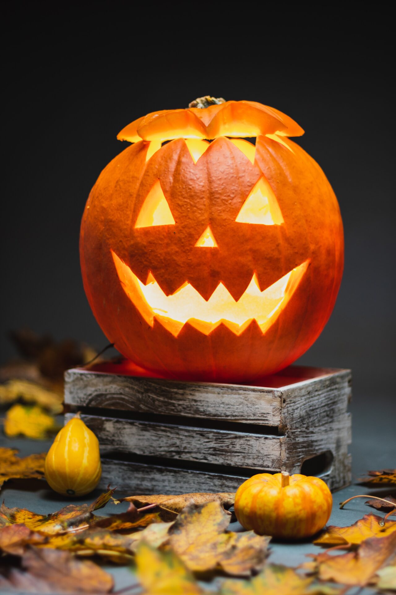 【びわ湖ホール】観覧無料イベント【ハロウィンナイト】コンサート「Trick or Treat」でお菓子プレゼント★【10/30】