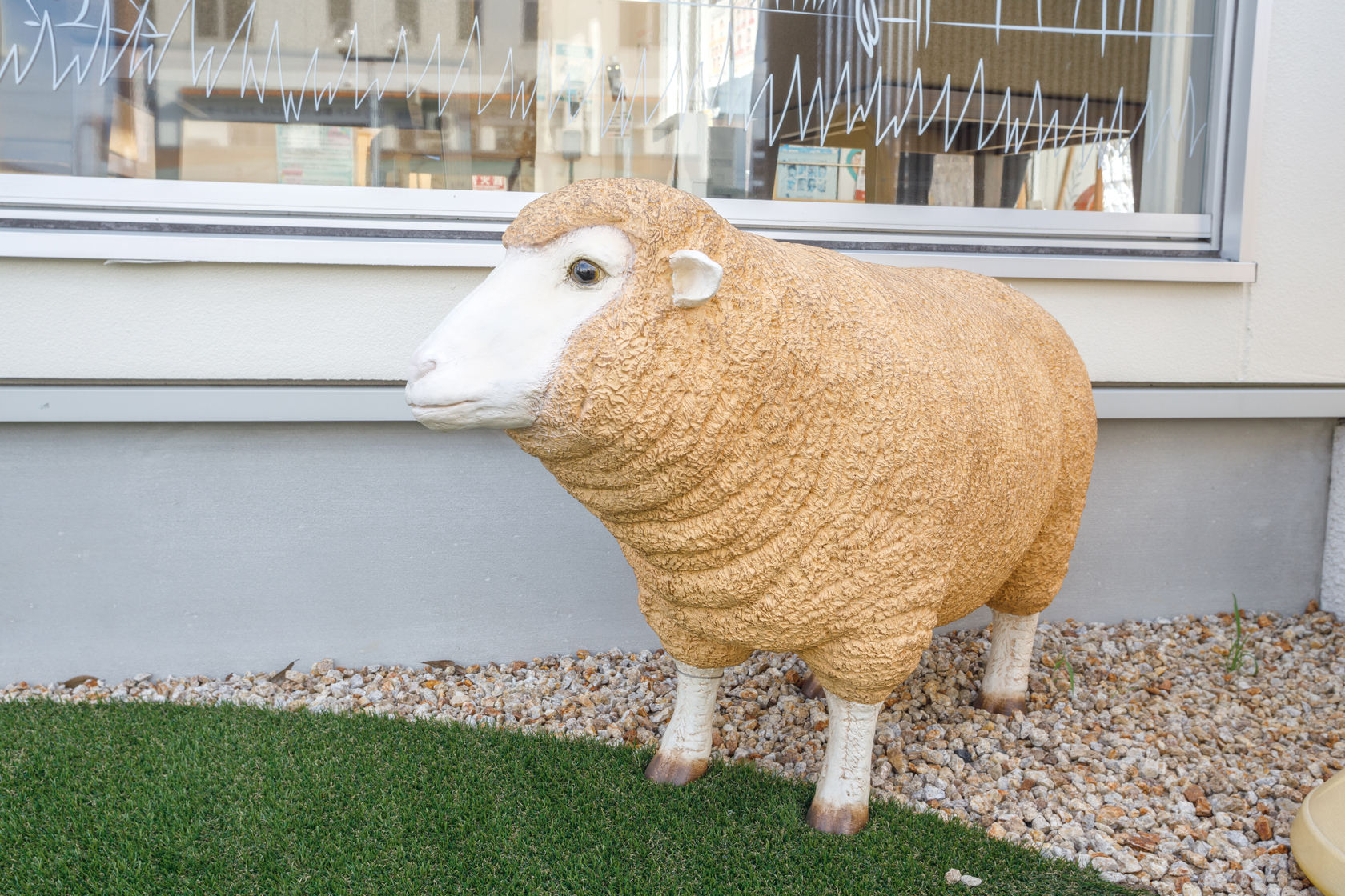 庭の羊
