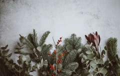 クリスマスにぴったりのワークショップ！ペタペタブーツやクリスマスリース、お菓子付きメッセージカード作りなど…ABCハウジング草津住宅公園【12月イベント】