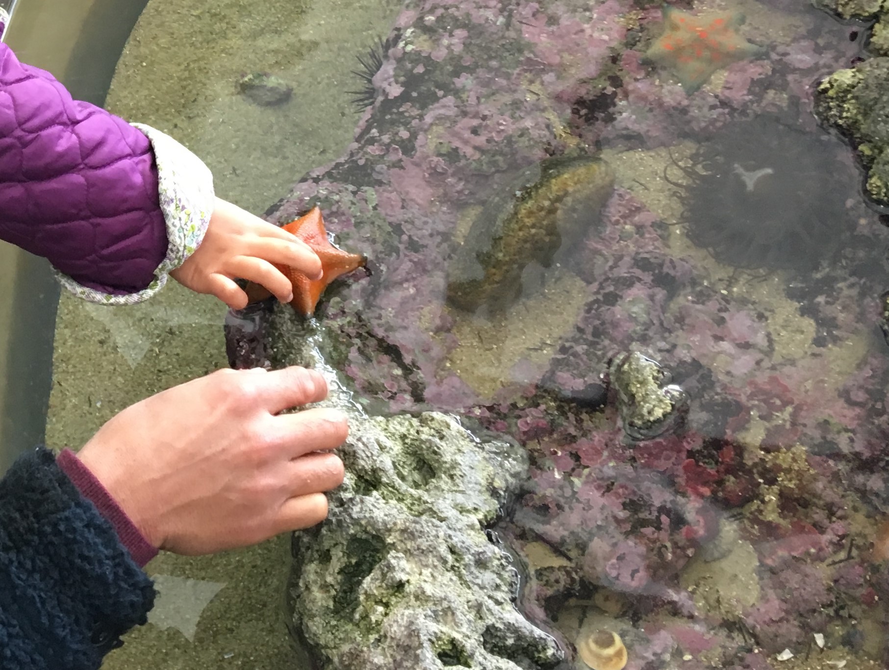 全部遊べる水族館☆ブランチ大津京にやってくる！【11/18､19】遊んで触れてクイズラリーで楽しもう！